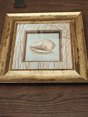 Framed Seashell Art Print   Seashell art Shell Series   Charlene Winterle Olson