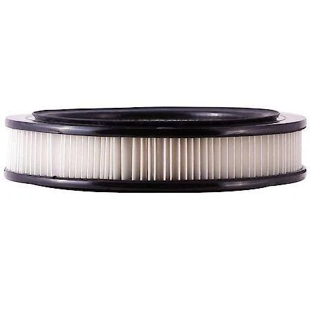 Filtro de aire de motor Carquest Premium 87061 para camiones y furgonetas comerciales Foto 3 de 4