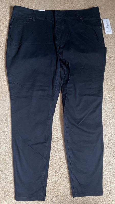 Style & Co Womens Size 16W Black Tummy Control Mid Rise Skinny Leg Pants