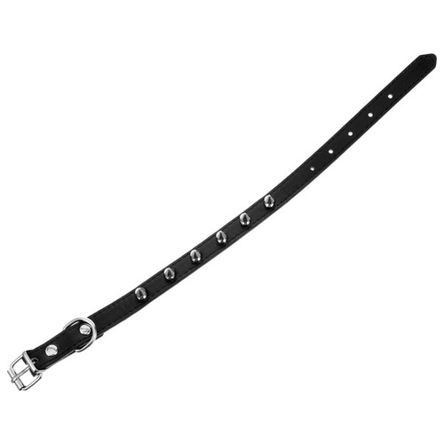 Native Pup Hundehalsband – Sommer-Design Mit Sonnenblumen, Für Kleine Bis Mittlere Hunde