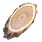 Trophy Plaque ACACIA AF 22cm Deer Very Large Stag Antlers Tree Disc Tree Plaque