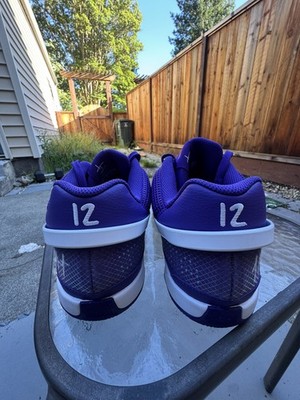 Nike Ja 1 TB Promo Basketball Shoes “Court Purple” (HJ7386-500