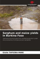GisèLe Tapsoba-Mare | Sorghum And Maize Yields In Burkina Faso | Taschenbuch