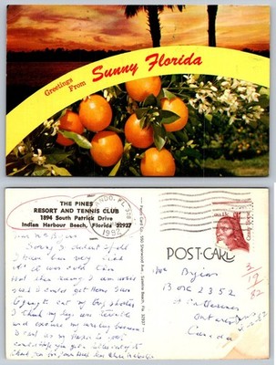 1982 Sunny Florida Oranges Palm Trees Sunset Indian Harbour Beach Postcard