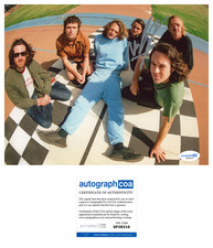 Michael Cavanagh ‘King Gizzard & The Lizard Wizard’ Band Signed 8x10 Photo ACOA