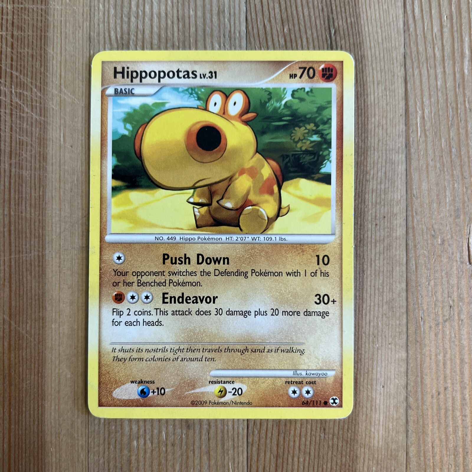 Pokémon TCG Hippopotas Rising Rivals 64/111 Regular Common LP