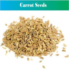 Natural Edible Carrot Seeds Gajar K Beej Whole Seeds , 100 Indian Herbs