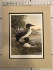 “Common Loons” Art Print #30 of 300 by Anthony Rudisill, 18”x14”, Used, Unframed — photo 7