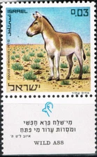 Israel Fauna Wild Animals Donkey Wild Ass in Negev Desert stamp 1980 MNH