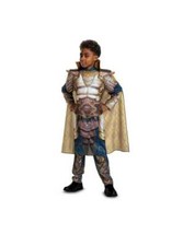 Xenk the Paladin Muscle Halloween Child Boy Costume Dungeons  Dragons Sz Large