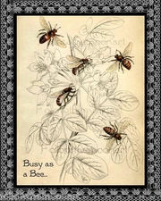 Busy as a Bumble Bee VINTAGE Country Garden Flowers Vintage Bumble Bees Wall Art