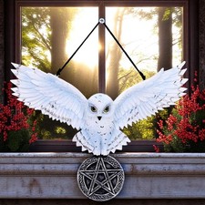 Mystical Snowy Owl Hanging Pagan Pentacle Talisman Wiccan Witchcraft Wall