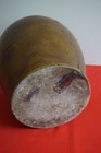 Bild 6 von 6