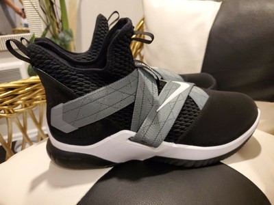 lebron soldier 12 air raid