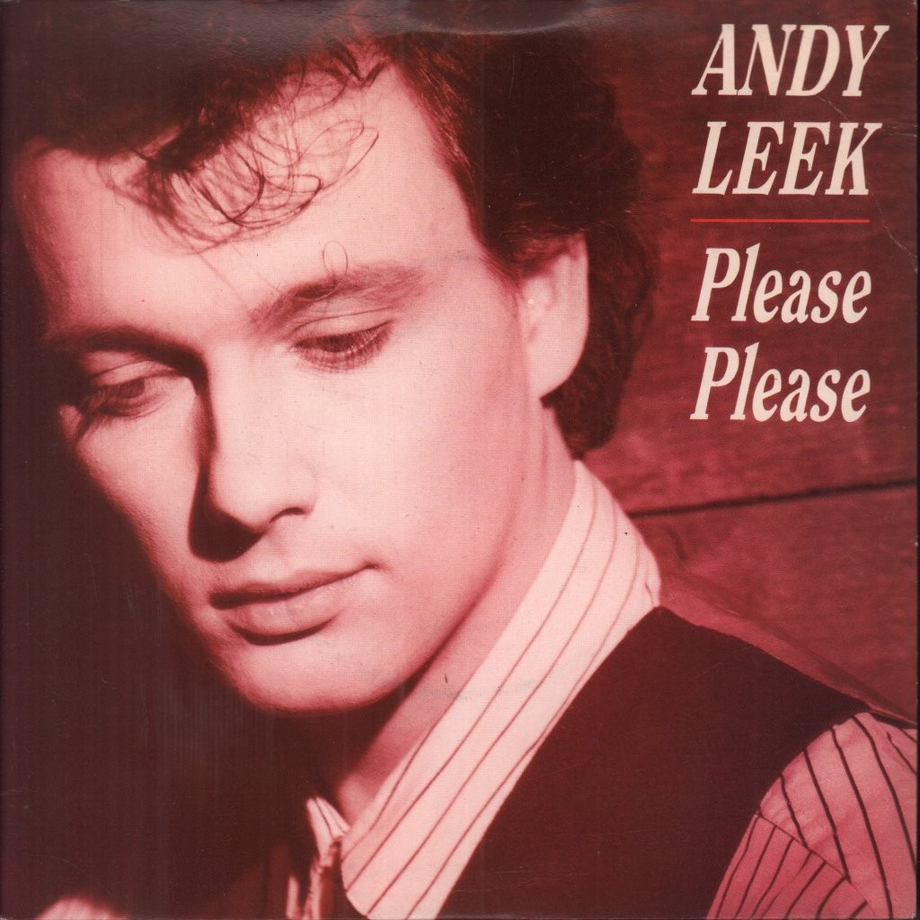 Andy Leek Please Please 7"" vinyl UK Atlantic 1988 pic sleeve A9054