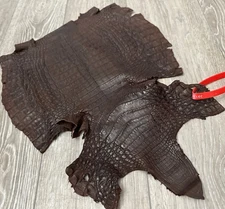 Brown Caiman Crocodile belly Hide Leather Skin real alligator remnant Croc 388