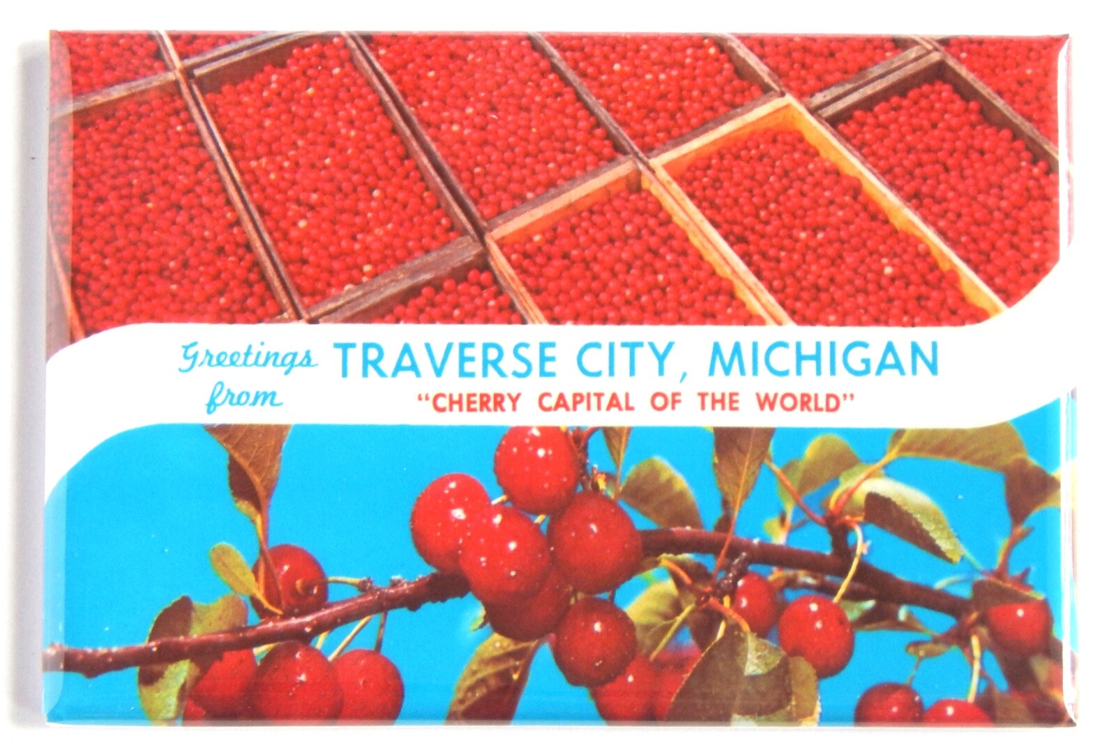Greetings from Traverse City Michigan FRIDGE MAGNET travel souvenir "style B"