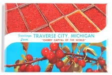 Greetings from Traverse City Michigan FRIDGE MAGNET travel souvenir "style B"