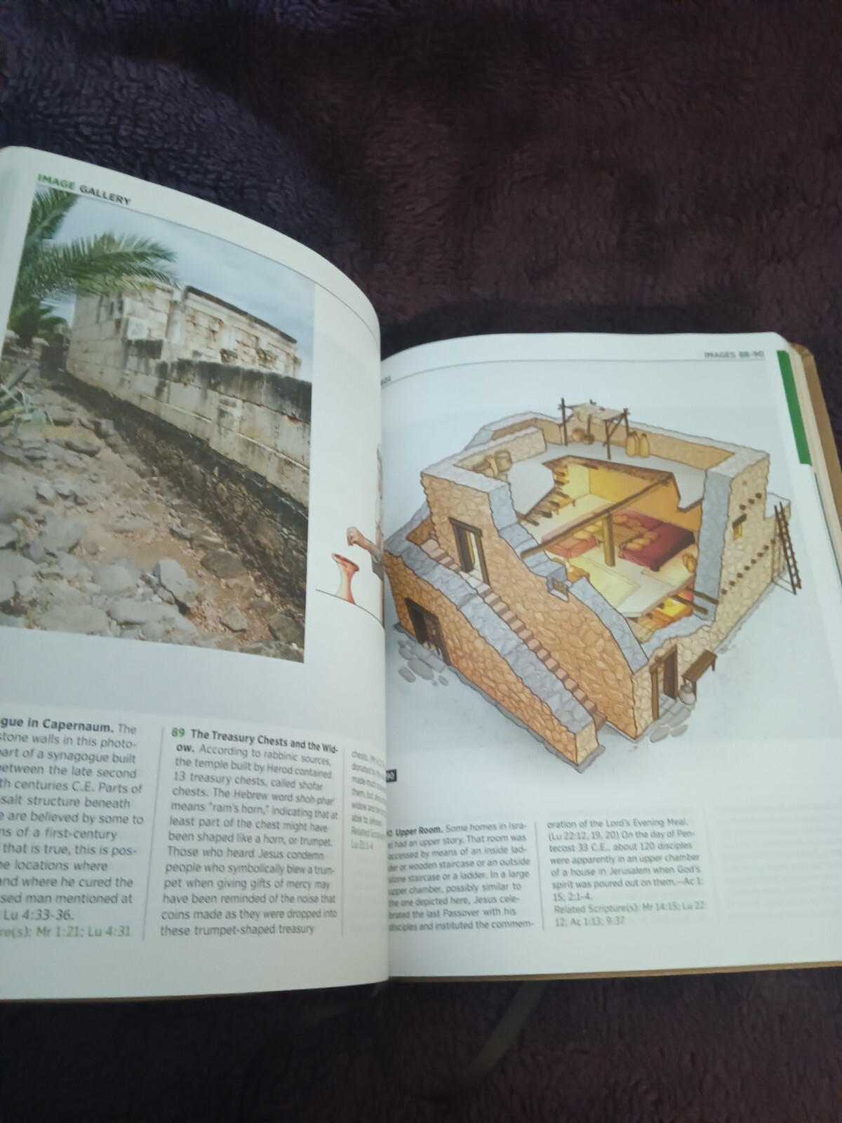 Picture 10 of 12
