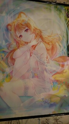 Rising of the Shield Hero wall scroll 23x35