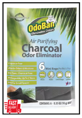 10 G Charcoal Odor Eliminators (6 Ct), Natural Odor & Moisture Absorber, Odor Re
