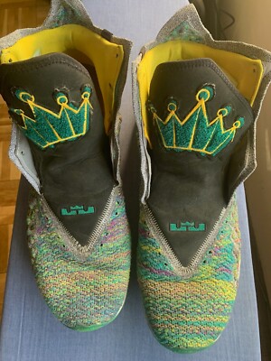 Lebron James Family Foundation We are a Family Nike Shoes. US 17 Adult Multicolr | eBay