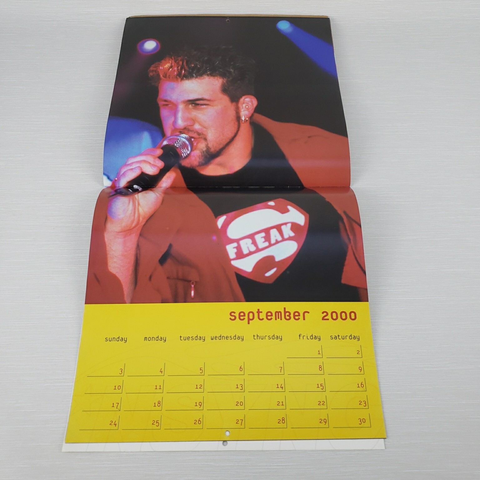 Vintage 2000 NSYNC Calendar Boy Band Pop Y2K 16 Month Justin Joey JC Lance  Chris | eBay