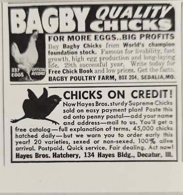 1942 Print Ad Bagby Poultry Farm Quality Chicks Chickens Sedalia,Missouri