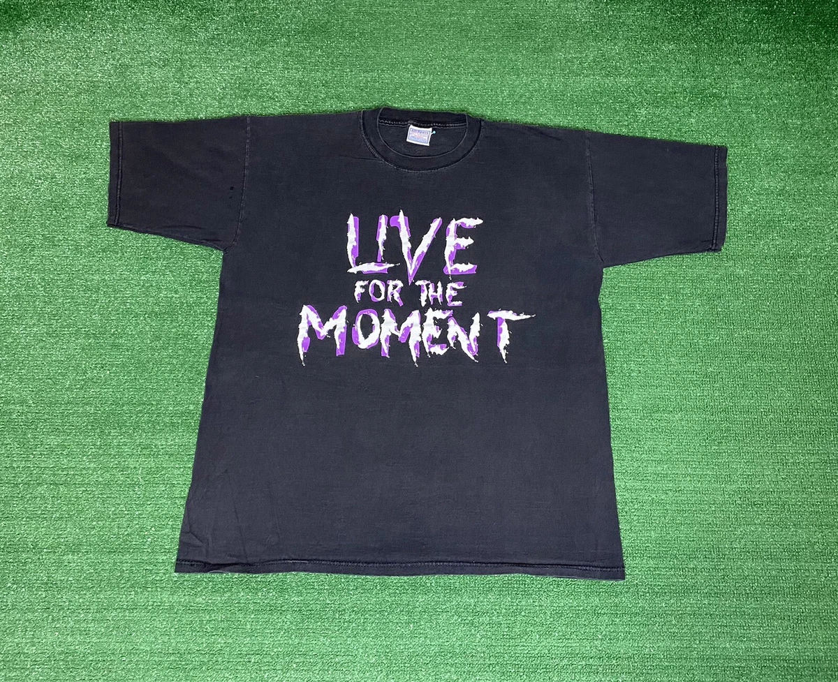 the hardy boyz t shirt