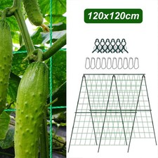 Cucumber Trellis for Climbing Plants Outdoor A-Frame Garden Trellis Vegetable