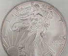 U.S. Mint American Eagle $1 1 oz Silver Coin 0.999 Fine Business Uncertified