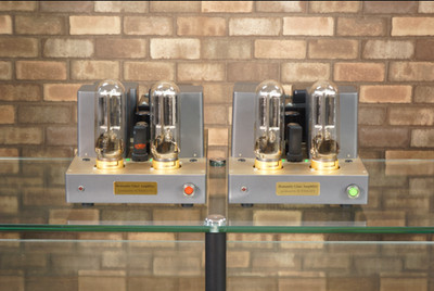 Sunvalley SV-2 845 Gegentakt-Röhren-Mono-Endstufe Paar hervorragende Funktion