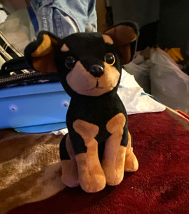 Ty Beanie Babies Dog Plush Beanbag Stuffed Animal Vintage 1998 MPN 4180