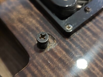 Kaman GTX 23 黒杢目 Kaman GTX 23 黒杢目 APPLAUSE GTX 23 by