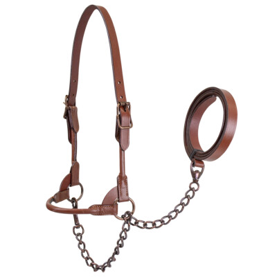 Derby Bronze Beauty Rolled Leather Cattle Show Halter with Lead  1 Year Warranty