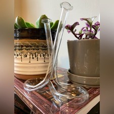 Vintage Boho Cottage Plant Twisted Glass Propagation Tube Double Bud Vase