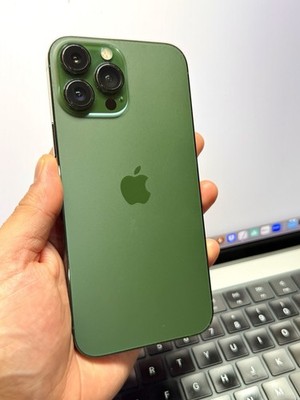Apple iPhone 13 Pro Max Factory Unlocked Alpine Green 128GB #23508
