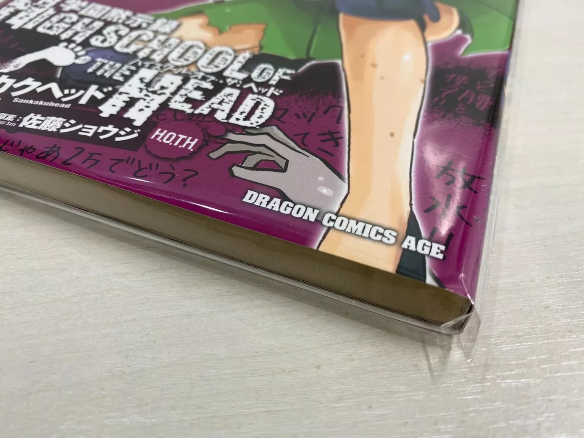 Highschool of the Dead, Vol. 2 (Volume 2) (Highschool of the Dead, 2)