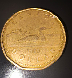 Canada 1989 $1 Dollar Loonie Coin - Canadian One Dollar Coin