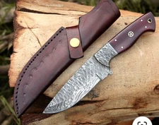 Custom Made Forged Damascus Steel Blade Camping Hunting Knife Wood Handle 2907