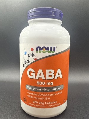 NOW FOODS GABA 500mg 300 Veg Capsules Exp 02/2029
