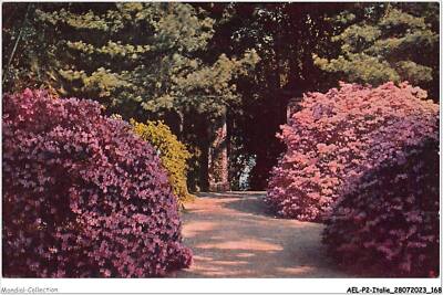 AELP2-ITALY-0175 - STAR - mother island - flowering azaleas