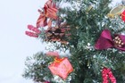 Bild 2 von 12