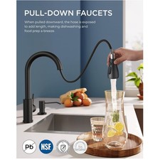 Effortless Control Black Kitchen Faucet Soap Dispenser