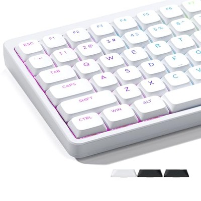 Keycaps XVX PBT Keycaps Custom Keycaps Low Profile Compatible with 100% 75% 65%