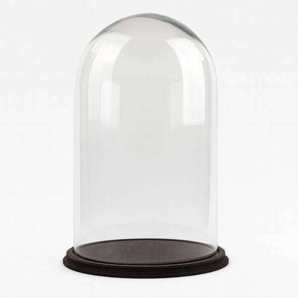 Clear Circular Glass Dome With Brown Vintage Wooden Base H:50x 30cm