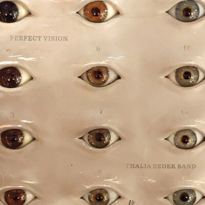 Thalia Zedek Band / Perfect Vision