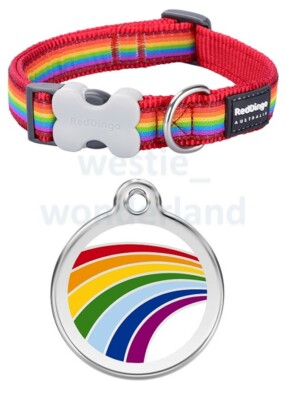 red dingo rainbow collar
