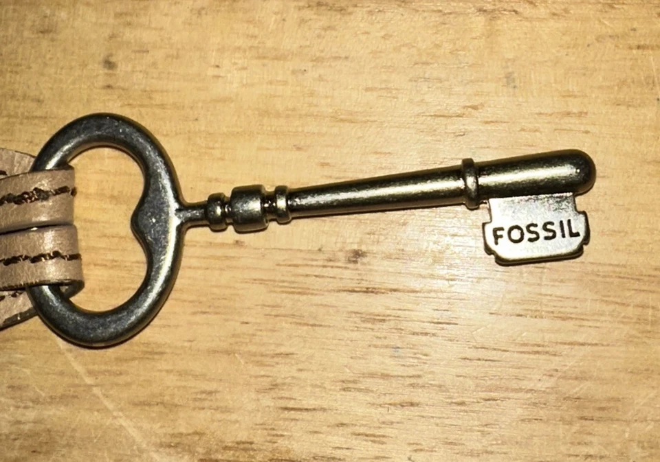 Llavero fósil etiqueta colgante para bolso monedero o llaves correa de cuero Foto 2 de 4