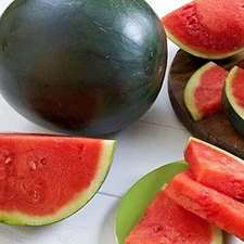 BLACK DIAMOND WATERMELON SEEDS 30-35 lbs - VERY SWEET  25 SEEDS FREE SHIPPING